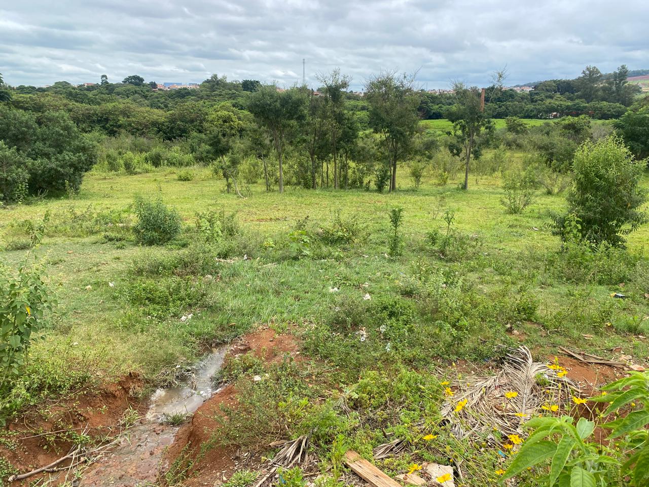 De acordo com o ex-prefeito João Vitte a área da antiga Flafer já pertence ao município e pode ser um caminho para a construção de moradias populares