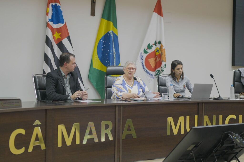 A audiência pública para discutir a Lei de Diretrizes Orçamentárias (LDO) ocorre de forma híbrida: virtual e presencial